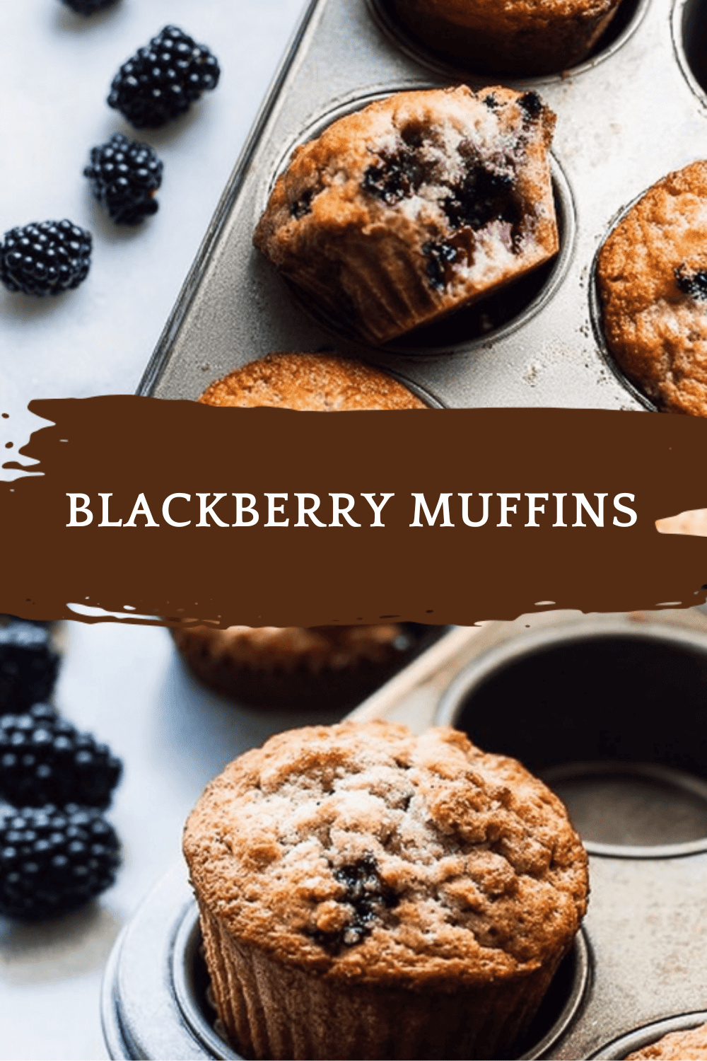 Blackberry Muffins