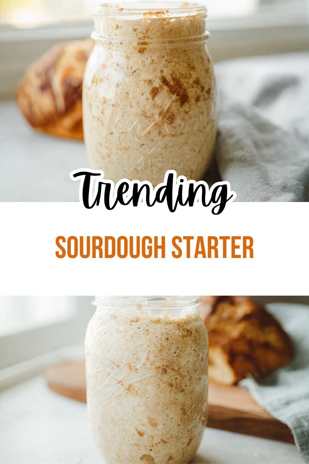 Sourdough Starter